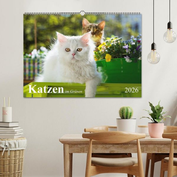 Produktbild: Katzen im Gr&uuml;nen (Wandkalender 2026 DIN A2 quer), CALVENDO Monatskalender