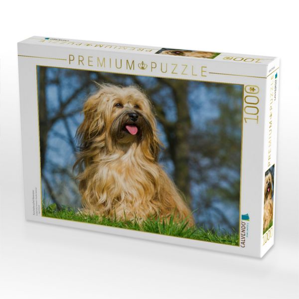 Produktbild: CALVENDO Puzzle Kuschelwuschel Havaneser | 1000 Teile Lege-Gr&ouml;&szlig;e 64x48cm Foto-Puzzle f&uuml;r gl&uuml;ckliche Stunden