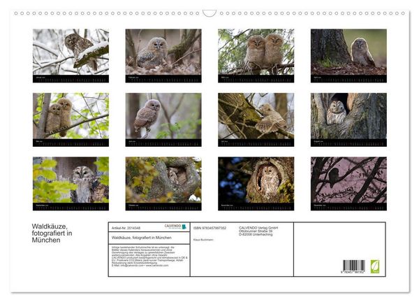 Produktbild: Waldk&auml;uze, fotografiert in M&uuml;nchen (Wandkalender 2026 DIN A2 quer), CALVENDO Monatskalender