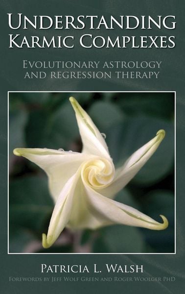 Produktbild: Understanding Karmic Complexes