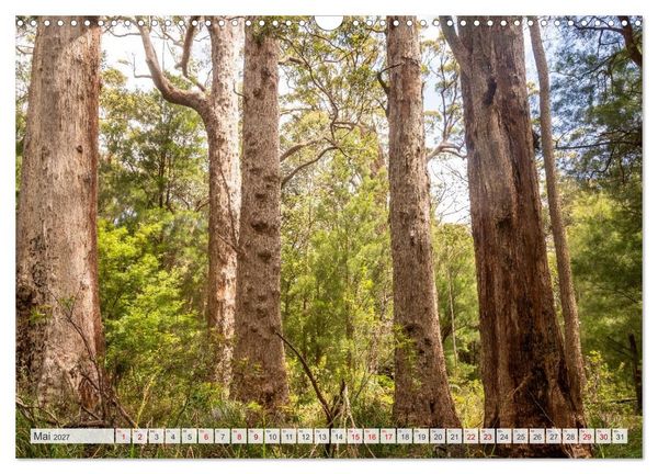 Produktbild: Das s&uuml;dliche Australien - vielf&auml;ltig, &uuml;berraschend, unvergesslich (Wandkalender 2027 DIN A3 quer), CALVENDO Monatskalender