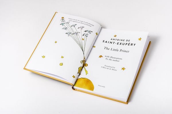 Produktbild: The Little Prince