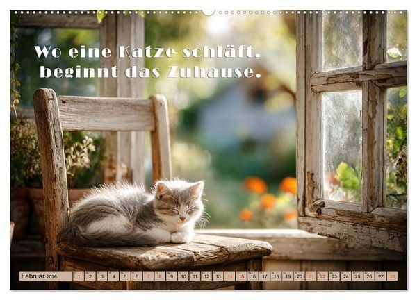 Produktbild: Miau-velous Pfotenpoesie (hochwertiger Premium Wandkalender 2026 DIN A2 quer), Kunstdruck in Hochglanz