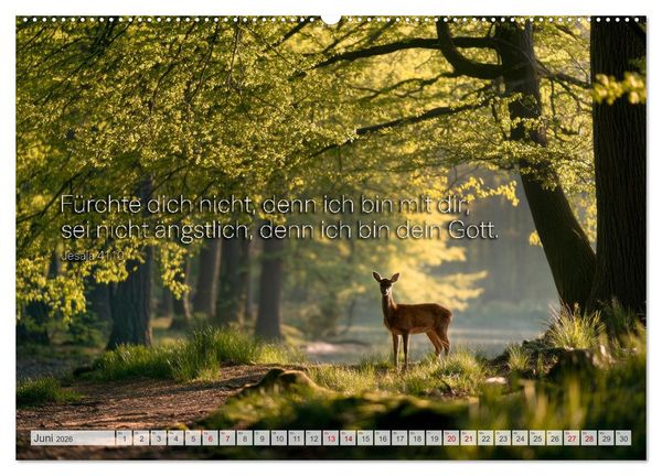 Produktbild: Psalmen und Bibelverse - Himmlische Botschaften (hochwertiger Premium Wandkalender 2026 DIN A2 quer), Kunstdruck in Hochglanz