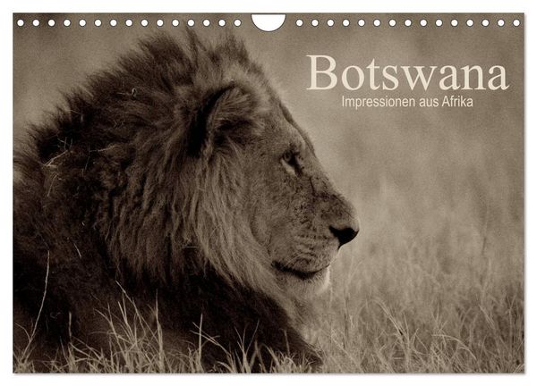 Produktbild: Botswana &ndash; Impressionen aus Afrika (Wandkalender 2026 DIN A4 quer), CALVENDO Monatskalender