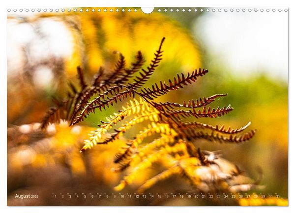Produktbild: Ber&uuml;hrende Sch&ouml;nheit des Verg&auml;nglichen (Wandkalender 2026 DIN A3 quer), CALVENDO Monatskalender