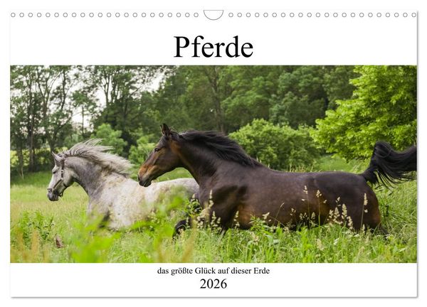 Produktbild: Pferde, das gr&ouml;&szlig;te Gl&uuml;ck auf dieser Erde (Wandkalender 2026 DIN A3 quer), CALVENDO Monatskalender