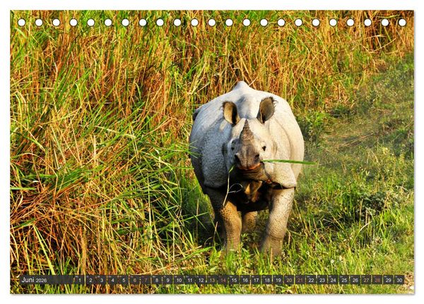 Produktbild: Tiere Indiens close up (Tischkalender 2026 DIN A5 quer), CALVENDO Monatskalender