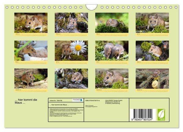 Produktbild: ... hier kommt die Maus ... (Wandkalender 2026 DIN A4 quer), CALVENDO Monatskalender