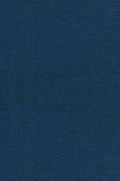 Produktbild: The Jungle by Upton Sinclair, Fiction, Classics