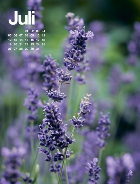 Produktbild: Fr&uuml;hling, Sommer, Herbst & Winter Kalender 2027