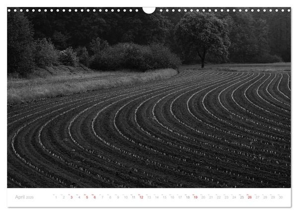 Produktbild: Mystischer Schwarzwald (Wandkalender 2026 DIN A3 quer), CALVENDO Monatskalender