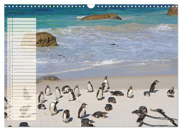 Produktbild: Abenteuer Erde Ein Kalender f&uuml;r Entdecker (Wandkalender 2026 DIN A3 quer), CALVENDO Monatskalender