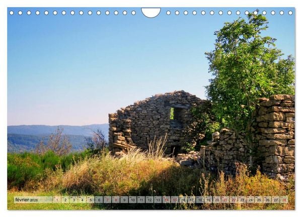 Produktbild: Les C&eacute;vennes typiques (Calendrier mural 2026 DIN A4 vertical), CALVENDO calendrier mensuel