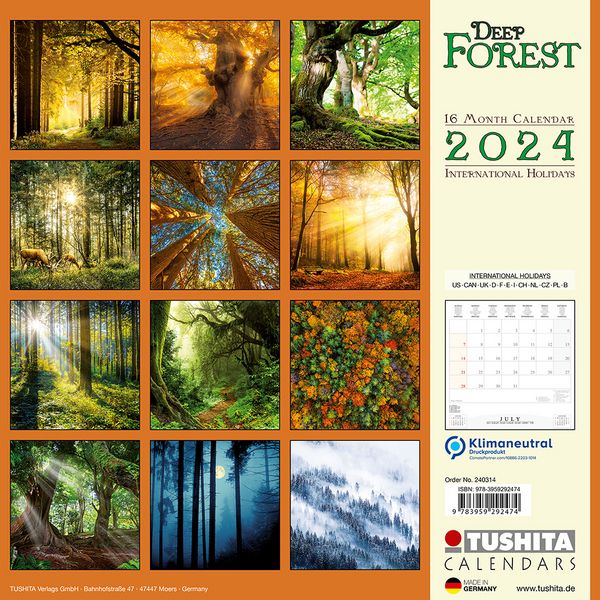 Produktbild: Deep Forest 2024