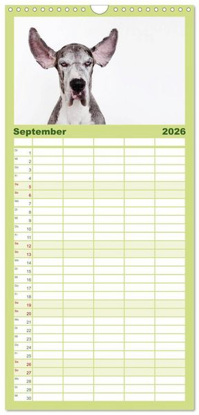 Produktbild: Familienplaner 2026 - SCHLAPPOHREN mit 5 Spalten (Wandkalender, 21 x 45 cm) CALVENDO