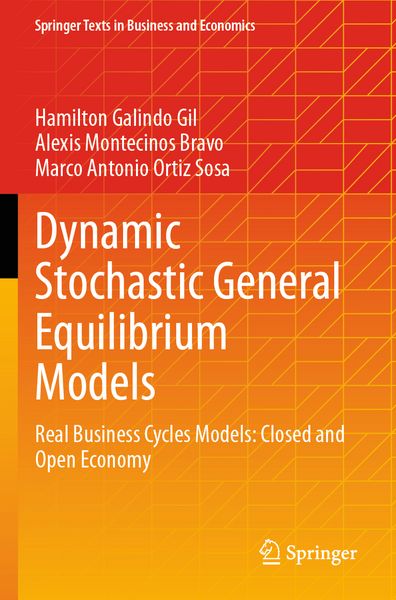 Produktbild: Dynamic Stochastic General Equilibrium Models