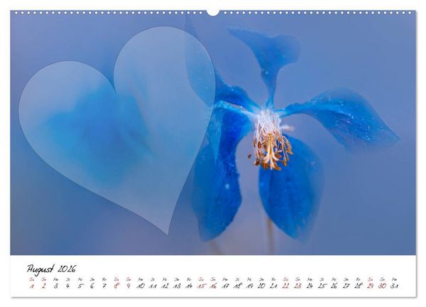 Produktbild: Blauer Bl&uuml;tentraum - Bastelkalender (Wandkalender 2026 DIN A2 quer), CALVENDO Monatskalender