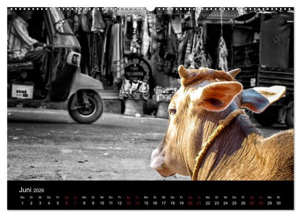 Produktbild: Indien Colorkey (hochwertiger Premium Wandkalender 2026 DIN A2 quer), Kunstdruck in Hochglanz