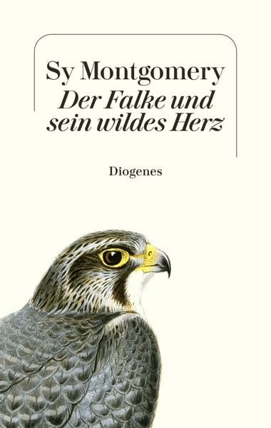 Produktbild: Der Falke und sein wildes Herz