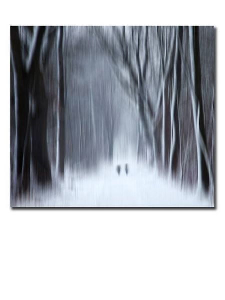 Produktbild: CALVENDO Puzzle Ein Motiv aus dem Kalender Transzendent | 1000 Teile Lege-Gr&ouml;&szlig;e 64x48cm Foto-Puzzle f&uuml;r gl&uuml;ckliche Stunden