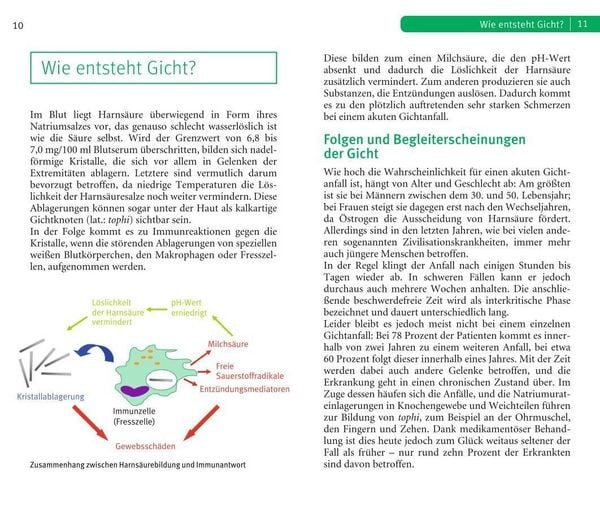 Produktbild: Die richtige Ern&auml;hrung bei Gicht