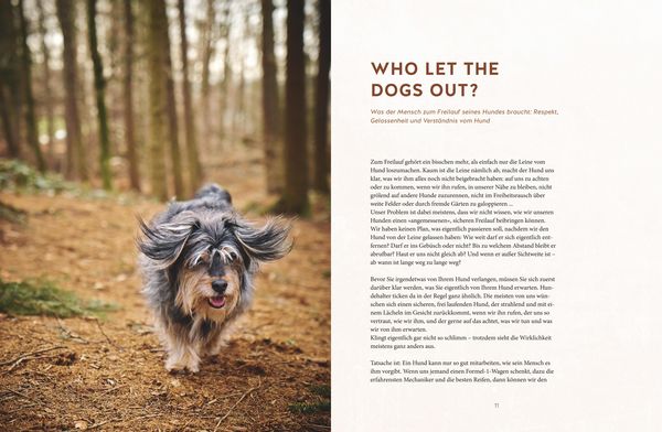Produktbild: Leinen los! Freilauftraining f&uuml;r den Hund