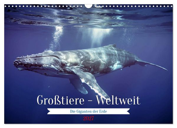 Produktbild: Gro&szlig;tiere - Weltweit (Wandkalender 2027 DIN A3 quer), CALVENDO Monatskalender