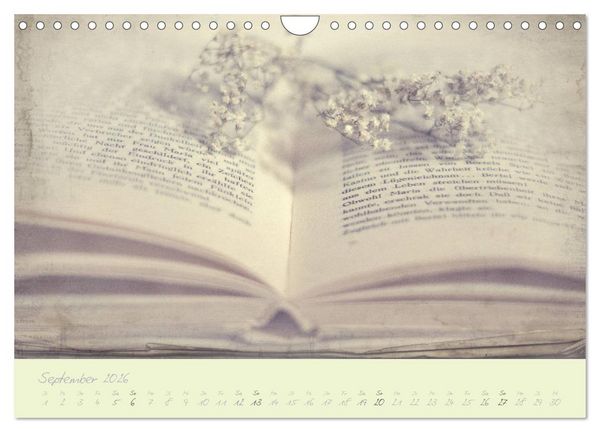 Produktbild: Shabby ist Chic (Wandkalender 2026 DIN A4 quer), CALVENDO Monatskalender
