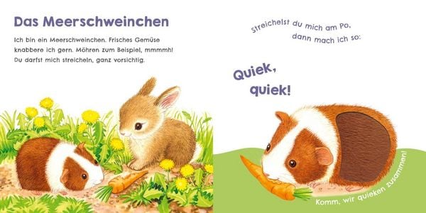 Produktbild: H&ouml;r mal, wie ich miauen kann (Mein erstes Streichel-Soundbuch 2)