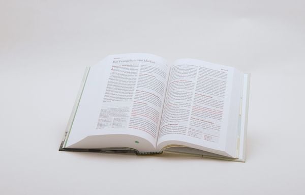 Produktbild: Neues Leben. Die Bibel f&uuml;r Teens