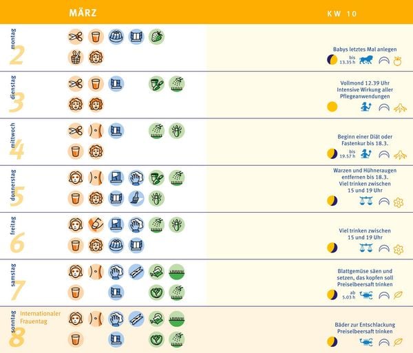 Produktbild: Mondkalender 2026