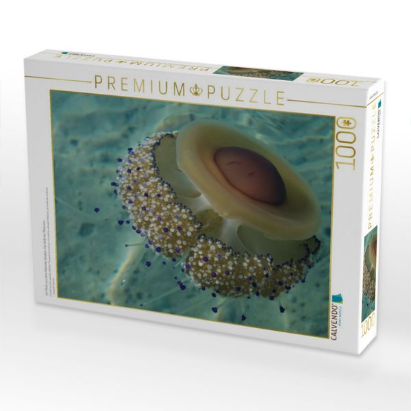 Produktbild: CALVENDO Puzzle Ein Motiv aus dem Kalender Quallen. Die Welt der Medusen | 1000 Teile Lege-Gr&ouml;&szlig;e 64x48cm Foto-Puzzle f&uuml;r gl&uuml;ckliche Stunden