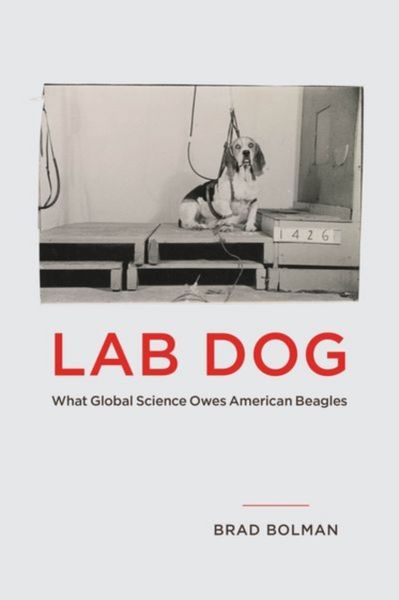 Produktbild: Bolman, B: Lab Dog