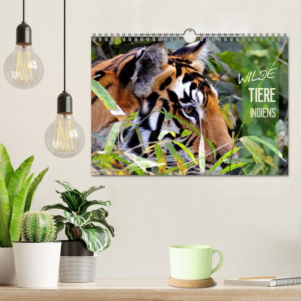 Produktbild: Wilde Tiere Indiens (Wandkalender 2026 DIN A4 quer), CALVENDO Monatskalender