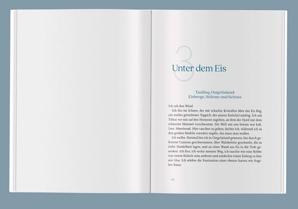 Produktbild: Es ist nie nichts