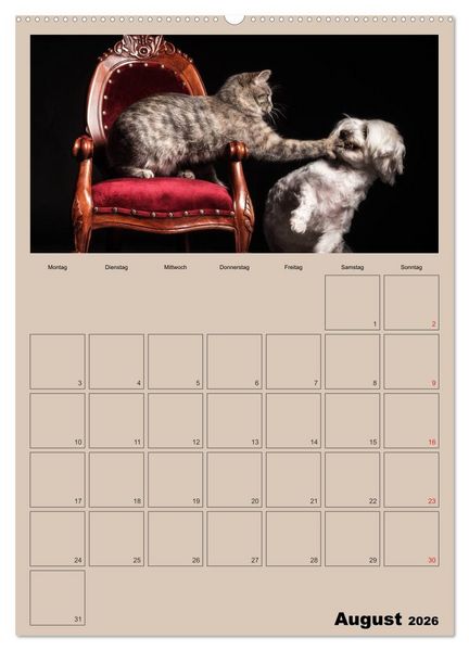 Produktbild: Mit Katzen durchs Jahr / Planer (hochwertiger Premium Wandkalender 2026 DIN A2 hoch), Kunstdruck in Hochglanz
