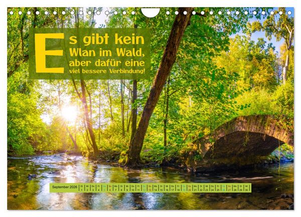Produktbild: WALD Erholung pur (Wandkalender 2026 DIN A4 quer), CALVENDO Monatskalender
