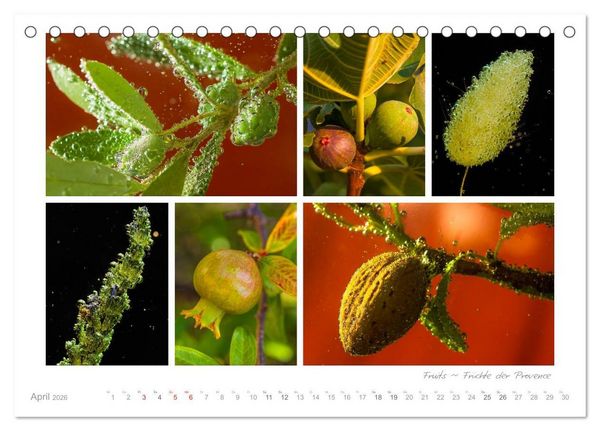 Produktbild: Sehnsucht Provence - Land des Lichts (Tischkalender 2026 DIN A5 quer), CALVENDO Monatskalender