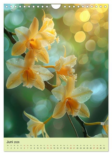 Produktbild: Orchideen Poesie (Wandkalender 2026 DIN A4 hoch), CALVENDO Monatskalender