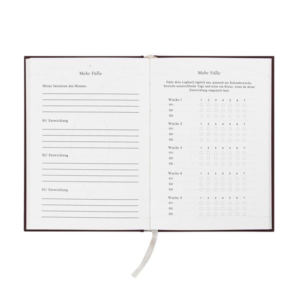 Produktbild: F&uuml;lle Journal
