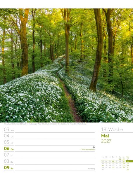 Produktbild: Unser Wald Wochenplaner Kalender 2027