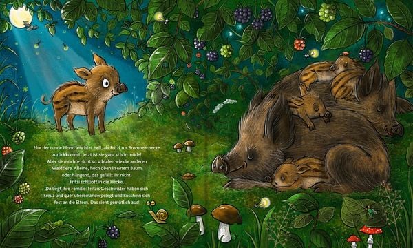 Produktbild: Wie schl&auml;ft der Wald?