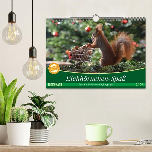 Produktbild: Eichh&ouml;rnchen-Spa&szlig; (Wandkalender 2026 DIN A4 quer), CALVENDO Monatskalender