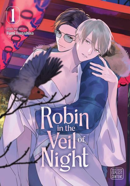 Produktbild: Robin in the Veil of Night, Vol. 1