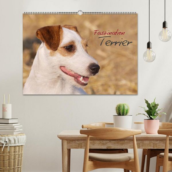 Produktbild: Faszination Terrier (Wandkalender 2026 DIN A2 quer), CALVENDO Monatskalender