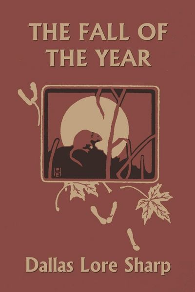 Produktbild: The Fall of the Year (Yesterday's Classics)