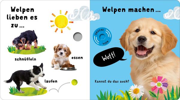 Produktbild: Mein kleines buntes Soundbuch &ndash; Tierkinder