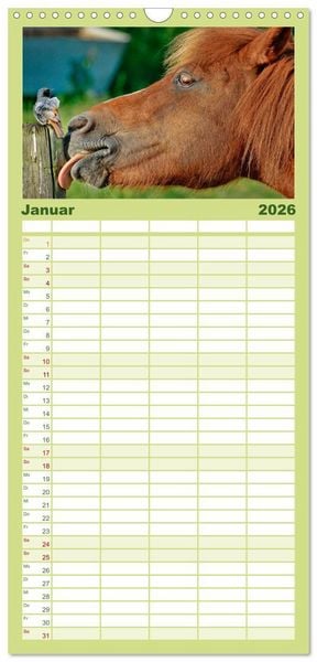 Produktbild: Familienplaner 2026 - Lustig und verr&uuml;ckt - der ganz andere Tierkalender mit 5 Spalten (Wandkalender, 21 x 45 cm) CALVENDO