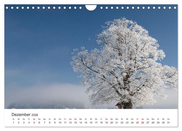Produktbild: Leidenschaft Landschaften (Wandkalender 2026 DIN A4 quer), CALVENDO Monatskalender
